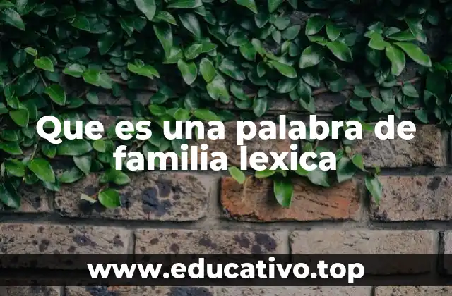 Que es una palabra de familia lexica