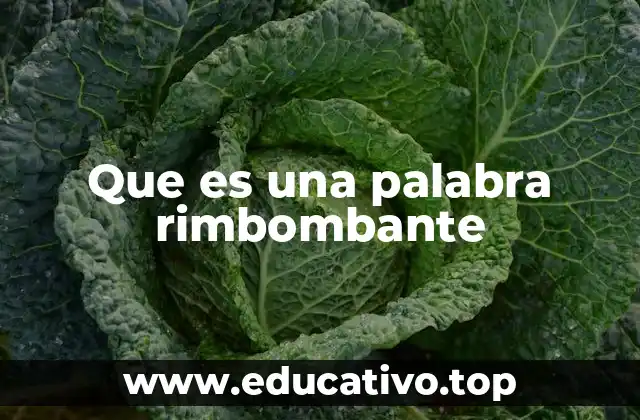 Que es una palabra rimbombante