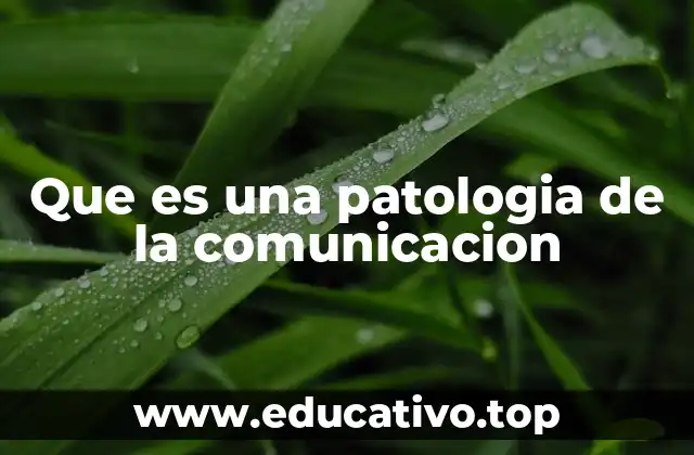 Que es una patologia de la comunicacion