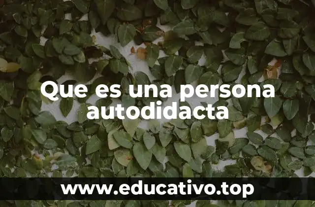 Que es una persona autodidacta