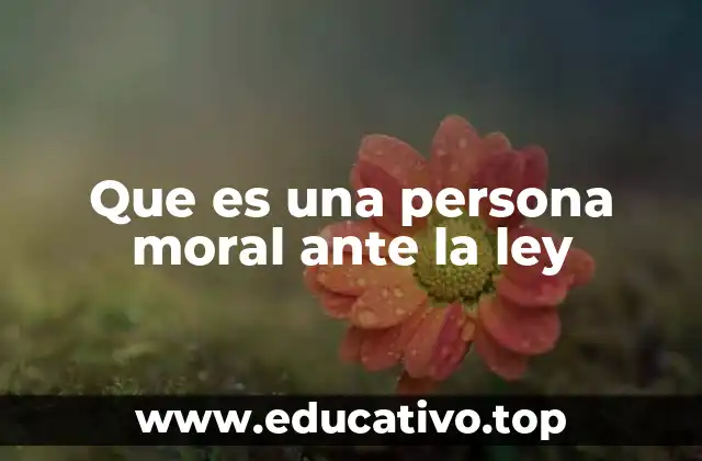 Que es una persona moral ante la ley