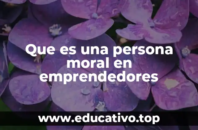 Que es una persona moral en emprendedores