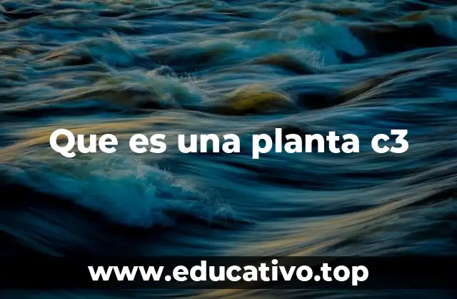 Que es una planta c3