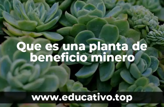 Que es una planta de beneficio minero