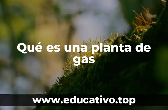Qué es una planta de gas