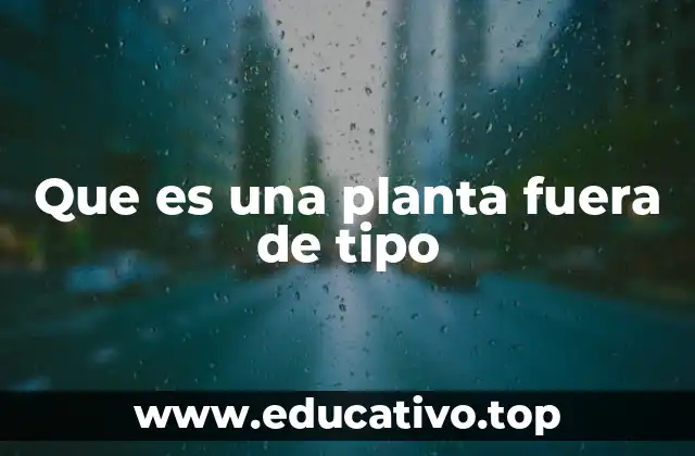 Que es una planta fuera de tipo
