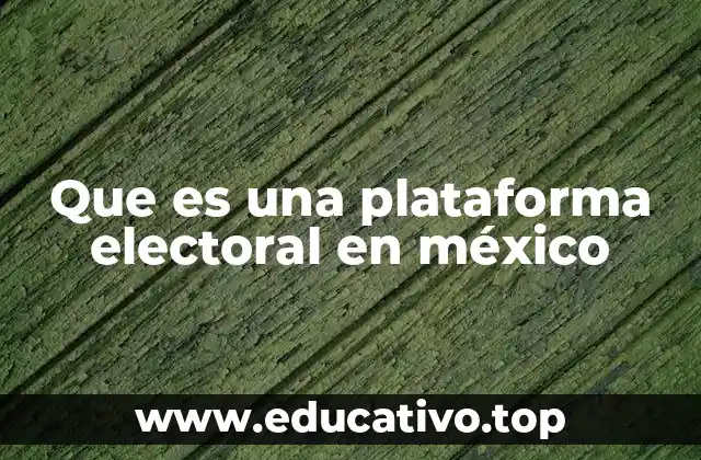Que es una plataforma electoral en méxico