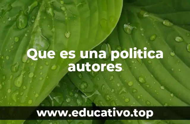 Que es una politica autores