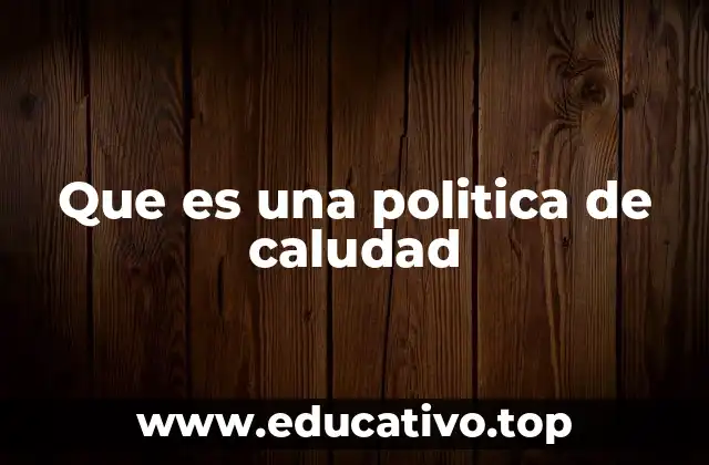 Que es una politica de caludad