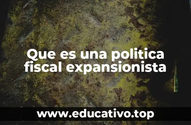 Que es una politica fiscal expansionista