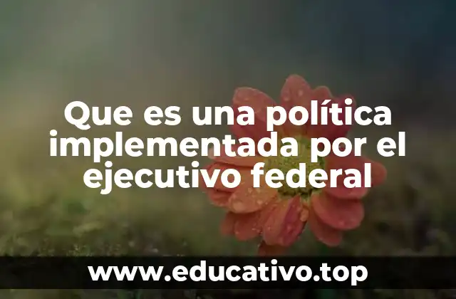 Que es una política implementada por el ejecutivo federal
