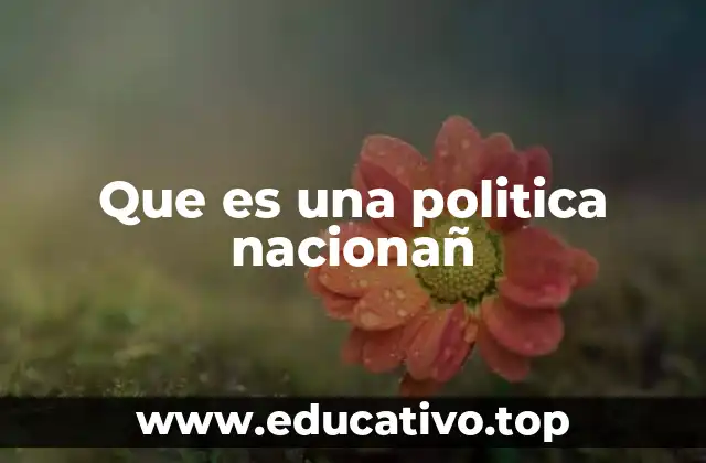 Que es una politica nacionañ