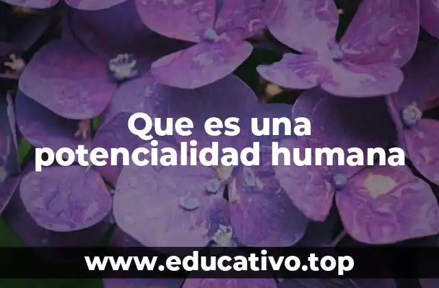 Que es una potencialidad humana