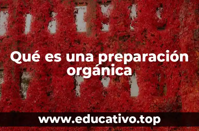 La importancia de las soluciones biológicas en la agricultura sostenible