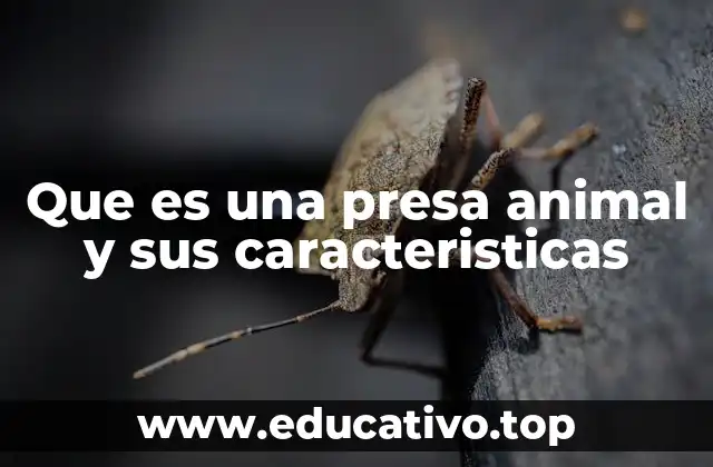 Que es una presa animal y sus caracteristicas