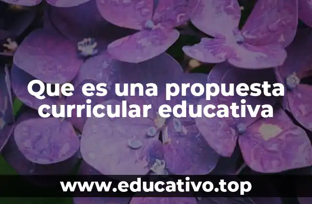 Que es una propuesta curricular educativa