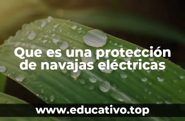 Que es una protección de navajas eléctricas