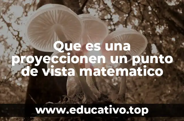 Que es una proyeccionen un punto de vista matematico