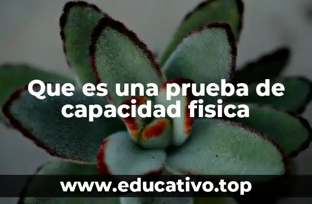 Que es una prueba de capacidad fisica