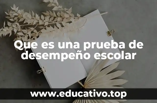 Que es una prueba de desempeño escolar
