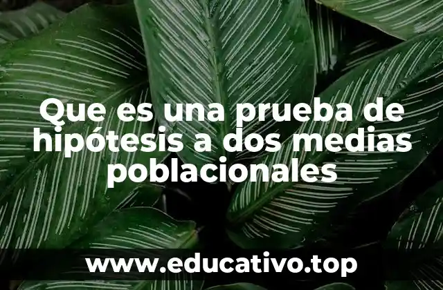 Que es una prueba de hipótesis a dos medias poblacionales