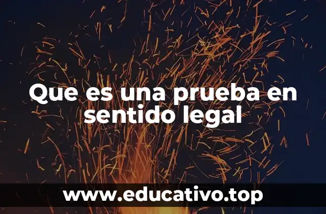 Que es una prueba en sentido legal