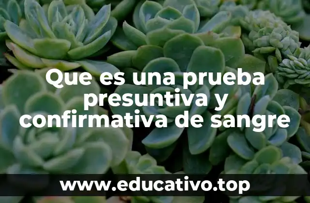 La importancia de los análisis de sangre en la ciencia forense