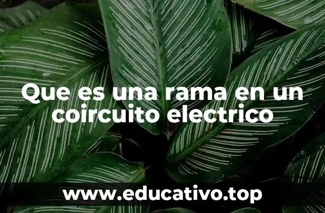 Que es una rama en un coircuito electrico