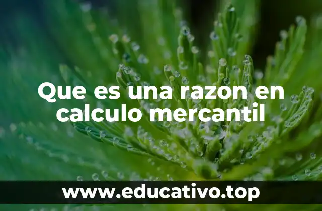 Que es una razon en calculo mercantil
