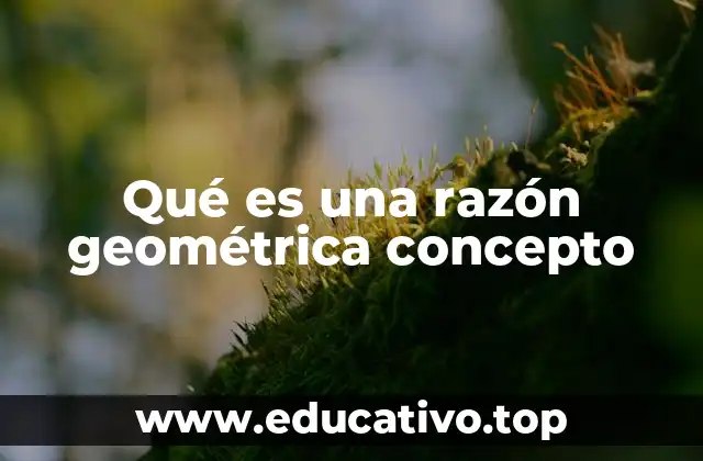 Qué es una razón geométrica concepto