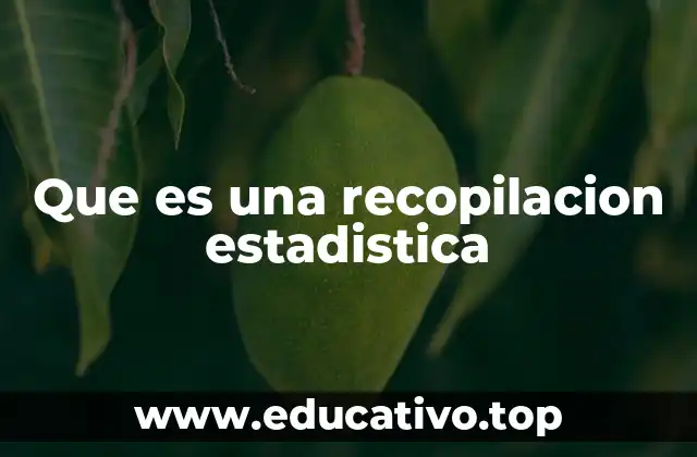Que es una recopilacion estadistica
