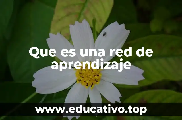 Que es una red de aprendizaje