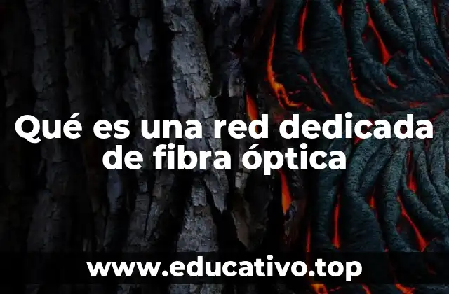 Cómo funciona una red dedicada de fibra óptica