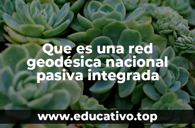 Que es una red geodésica nacional pasiva integrada