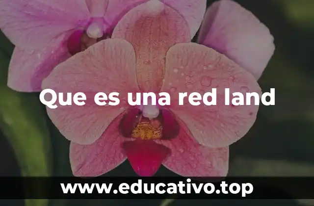 Que es una red land