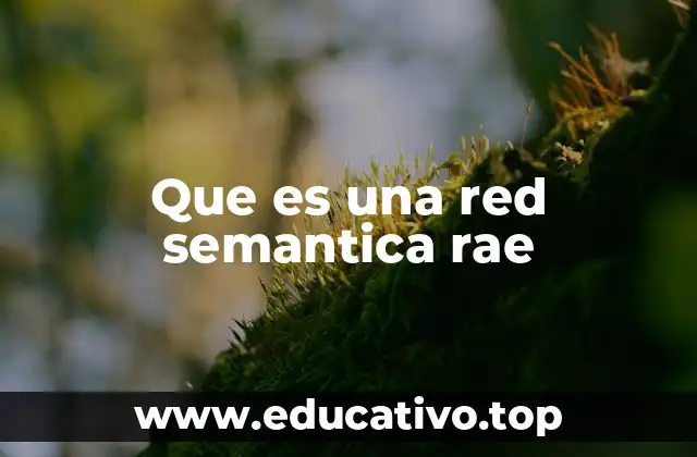 Que es una red semantica rae