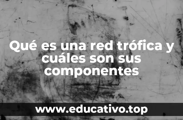 Qué es una red trófica y cuáles son sus componentes