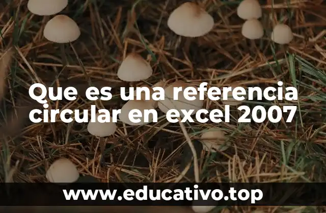 Que es una referencia circular en excel 2007