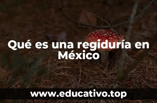 El papel de los regidores en el gobierno municipal