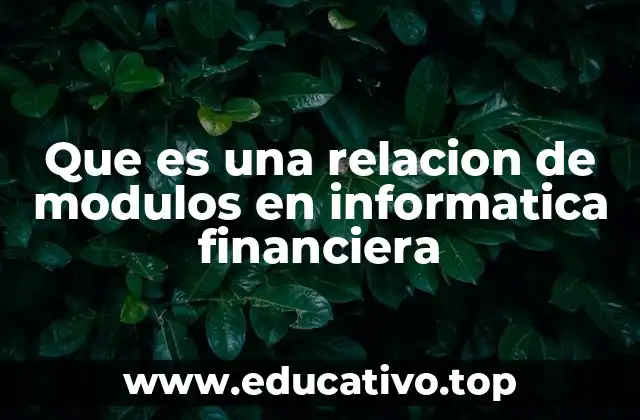 Que es una relacion de modulos en informatica financiera