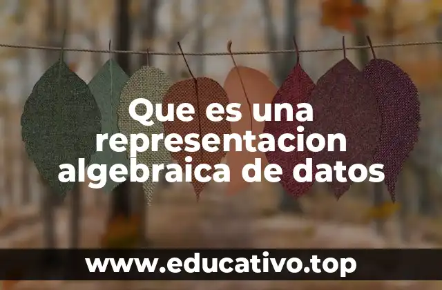 Que es una representacion algebraica de datos