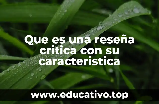 Que es una reseña critica con su caracteristica