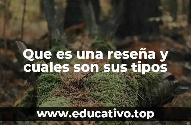 Que es una reseña y cuales son sus tipos