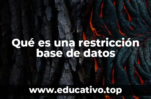 La importancia de los mecanismos de control de datos