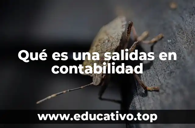 Qué es una salidas en contabilidad