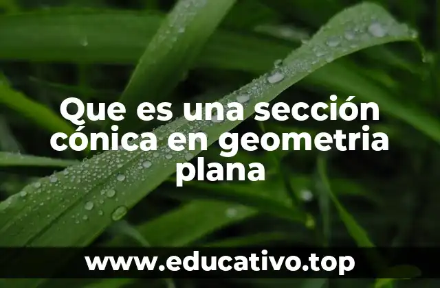 Que es una sección cónica en geometria plana