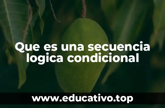 Que es una secuencia logica condicional