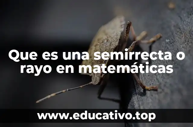 Que es una semirrecta o rayo en matemáticas