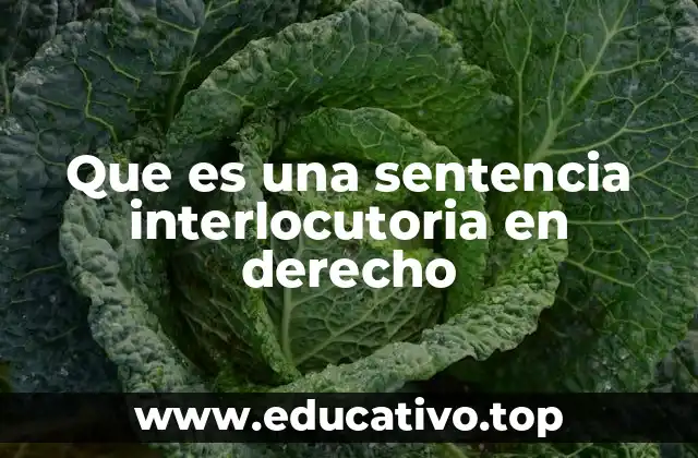 La importancia de las resoluciones interlocutorias en el proceso judicial