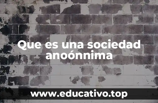 Características esenciales de las sociedades anónimas